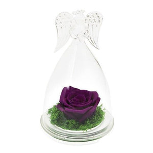 Guardian Angel Immortal Enchanted Preserved Rose Glass Display (12 Colors)